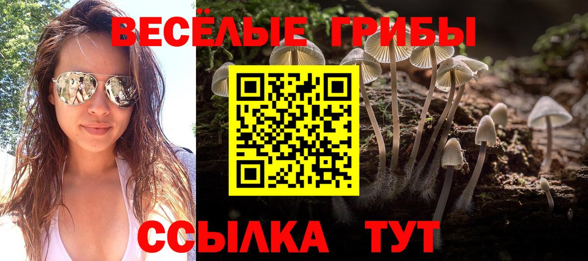 Галлюциногенные грибы Cubensis  Вход с VPN  хочу   Нижневартовск 